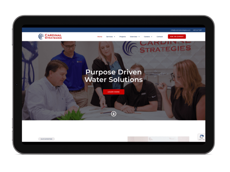 Cardinal Strategies Website